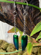 Load image into Gallery viewer, Jewel Beetle Wings Dangle earrings
