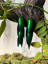 Load image into Gallery viewer, Jewel Beetle Wing Earrings Long
