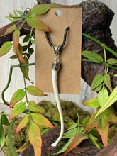 Load image into Gallery viewer, Raccoon Baculum Necklace
