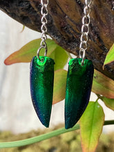 Load image into Gallery viewer, Jewel Beetle Wings Dangle earrings
