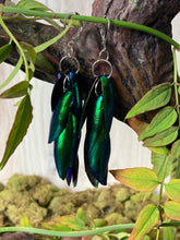 Load image into Gallery viewer, Jewel Beetle Wing Earrings Long
