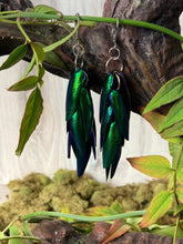 Load image into Gallery viewer, Jewel Beetle Wing Earrings Long
