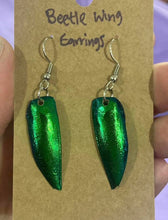 Load image into Gallery viewer, Beetle Wing Earrings short
